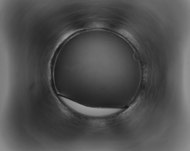 X0000088231031200705221820