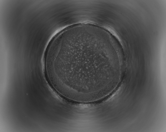X0000088231032200705221820