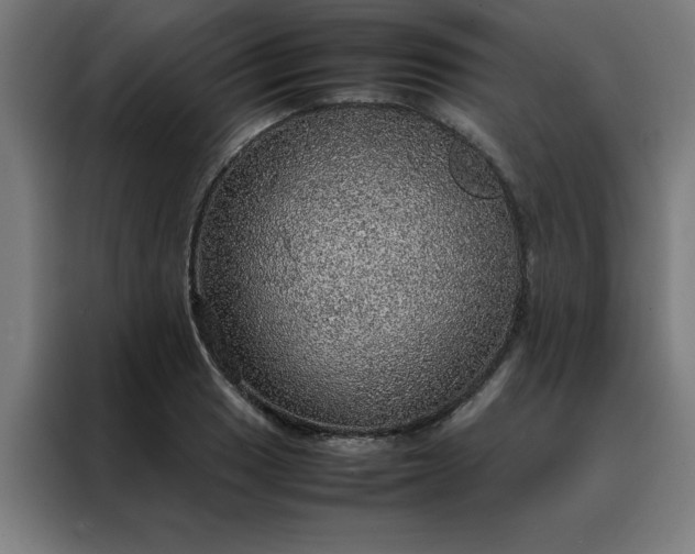 X0000088231033200705221820