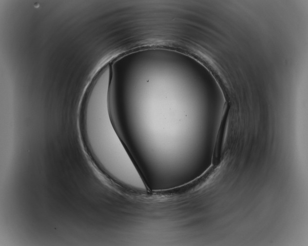 X0000088231034200705221820