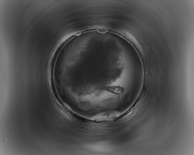 X0000088231035200705221820