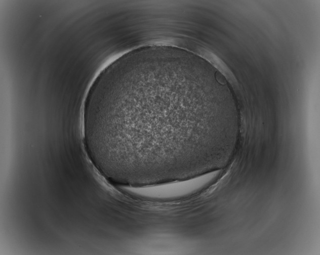 X0000088231036200705221820