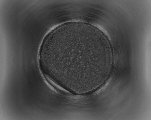 X0000088231037200705221820