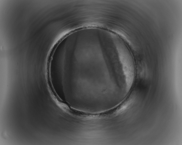 X0000088231038200705221820