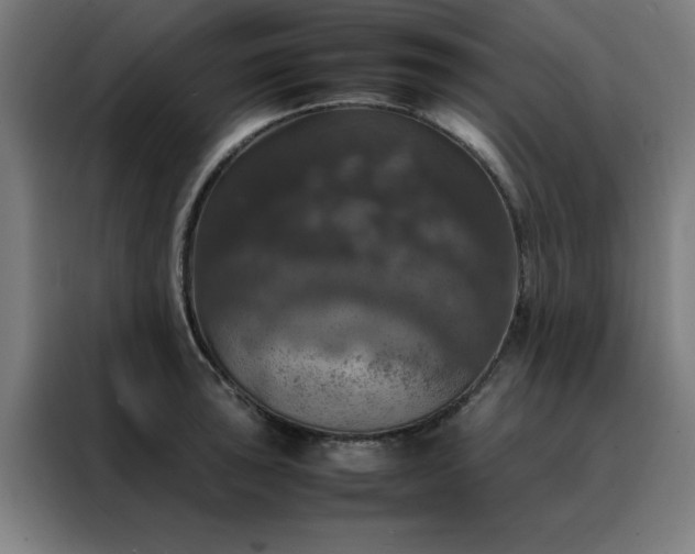 X0000088231043200705221820