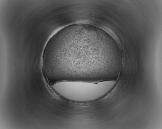 X0000088231044200705221820