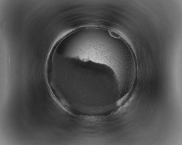 X0000088231045200705221820