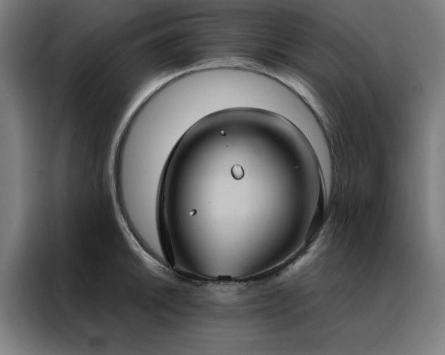 X0000088231046200705221820