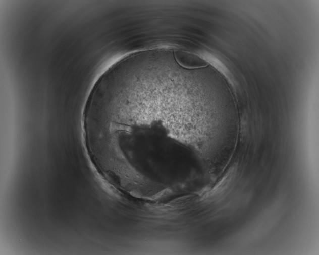 X0000088231047200705221820