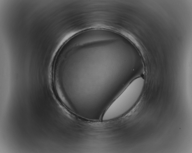 X0000088231048200705221820