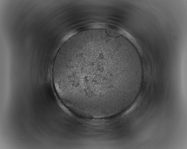 X0000088231049200705221820