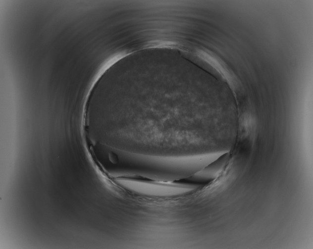 X0000088231050200705221820