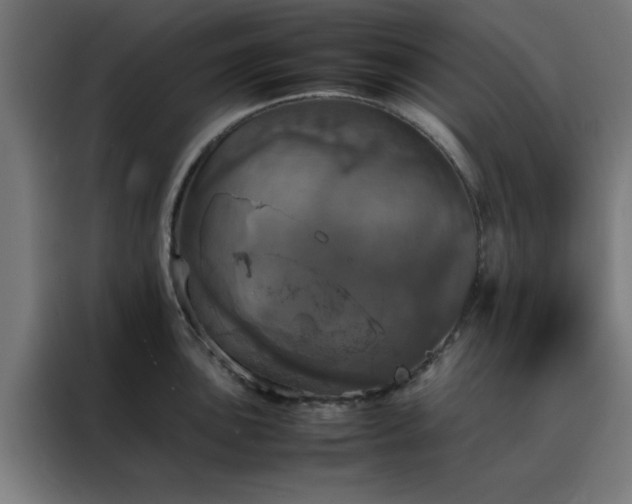 X0000088231051200705221820
