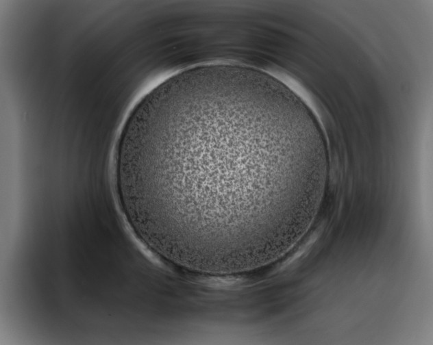 X0000088231053200705221820