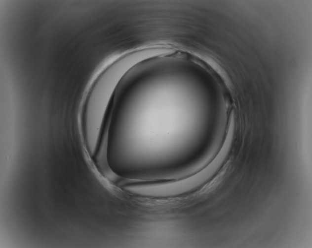 X0000088231054200705221820