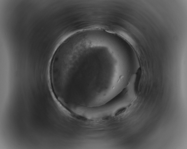X0000088231055200705221820