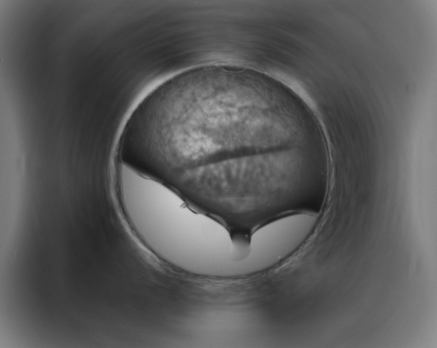 X0000088231056200705221820