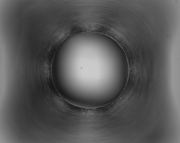 X0000088231058200705221820