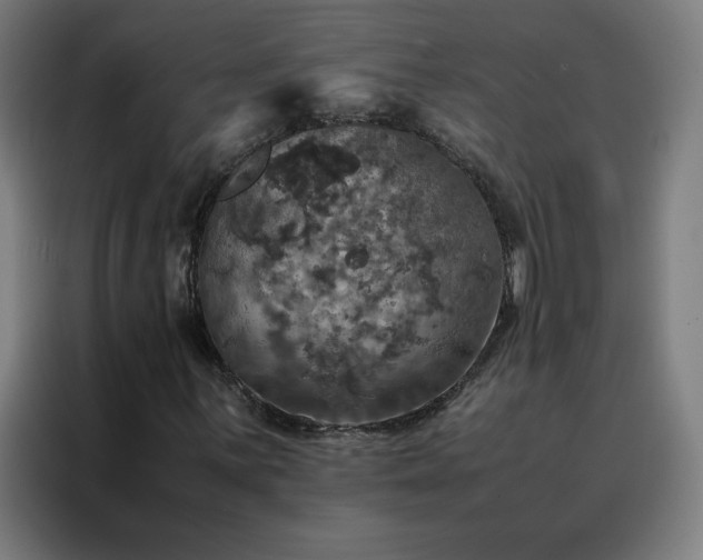 X0000088231059200705221820