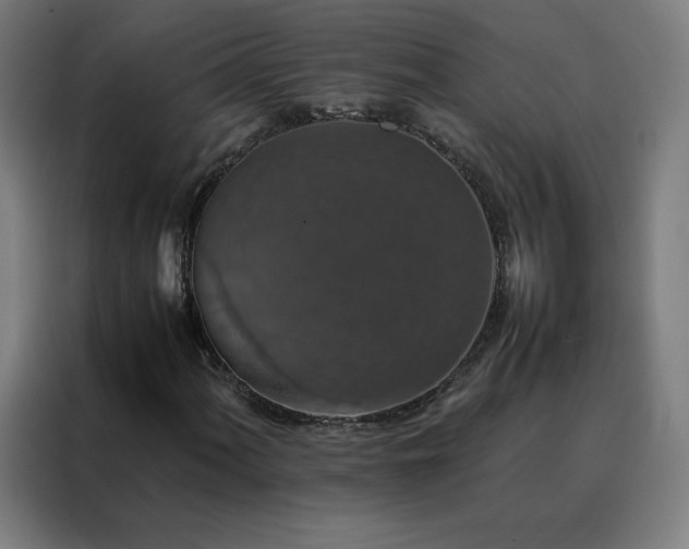 X0000088231060200705221820