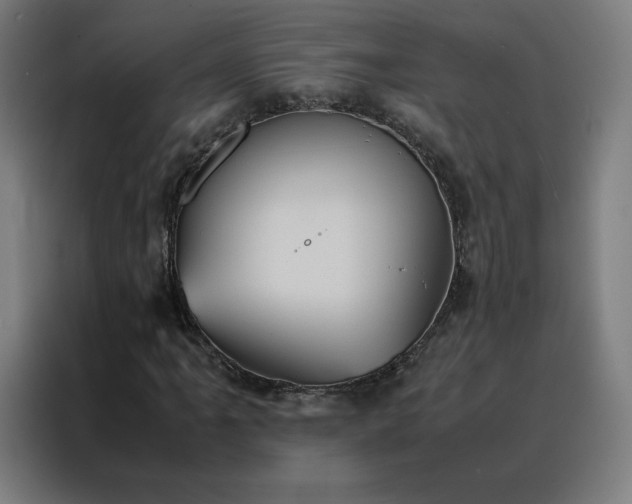 X0000088231061200705221820