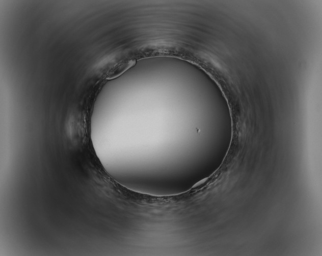 X0000088231062200705221820