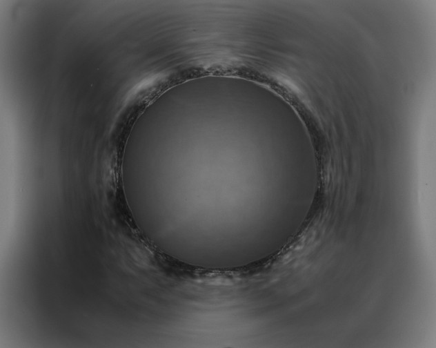 X0000088231063200705221820