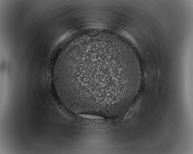 X0000088231064200705221820
