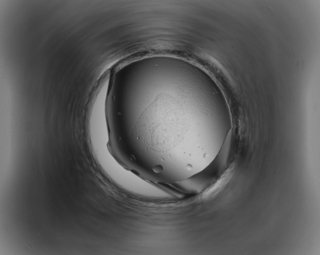 X0000088231065200705221820