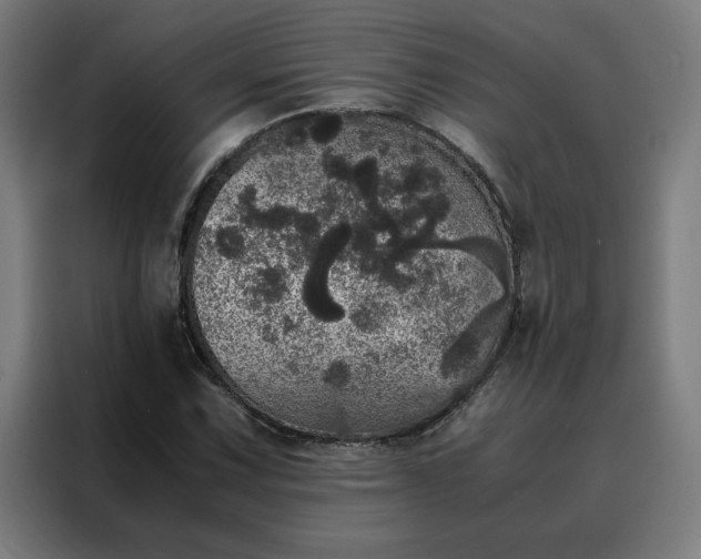 X0000088231067200705221820