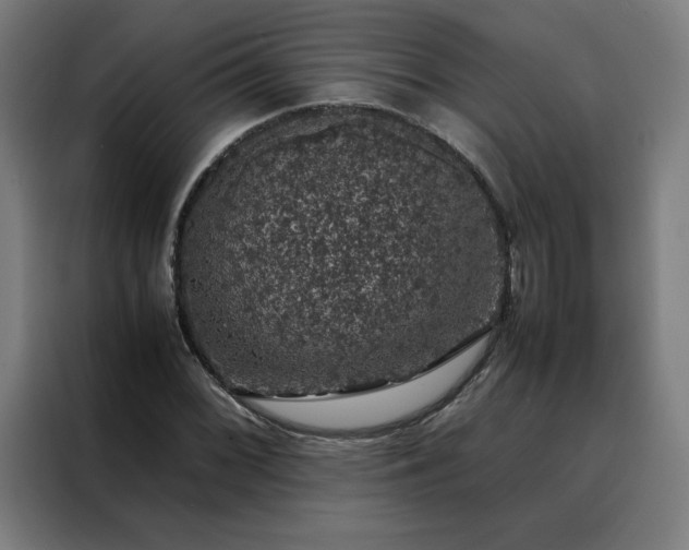 X0000088231068200705221820