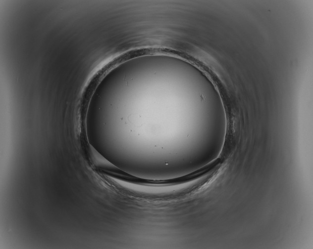 X0000088231069200705221820