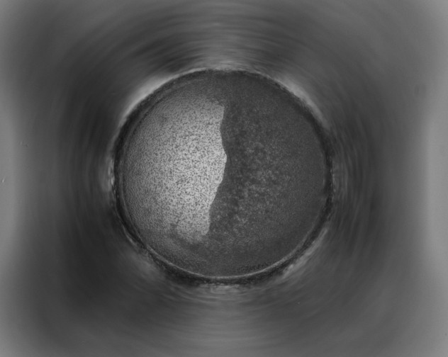 X0000088231070200705221820