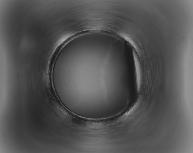 X0000088231071200705221820