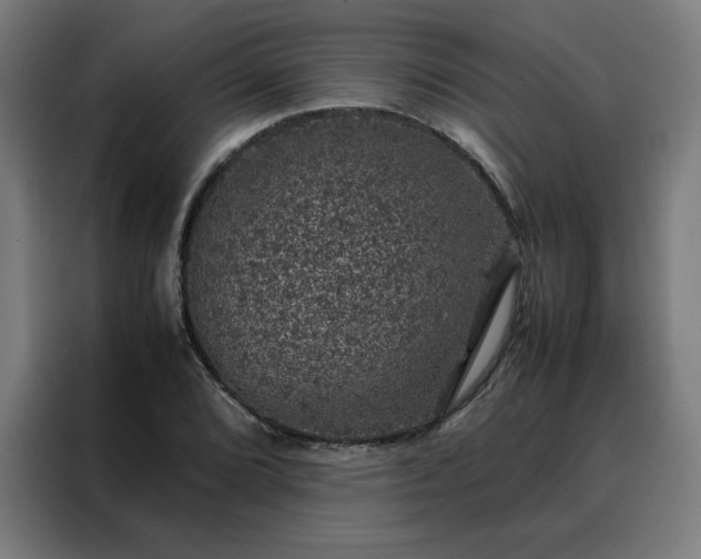X0000088231072200705221820