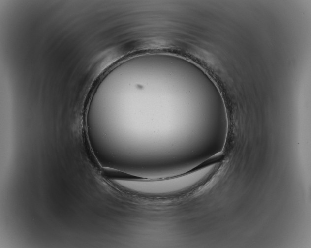 X0000088231073200705221820