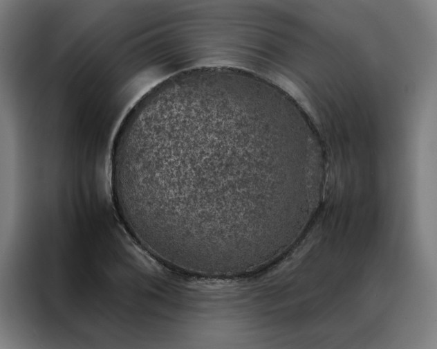 X0000088231076200705221820