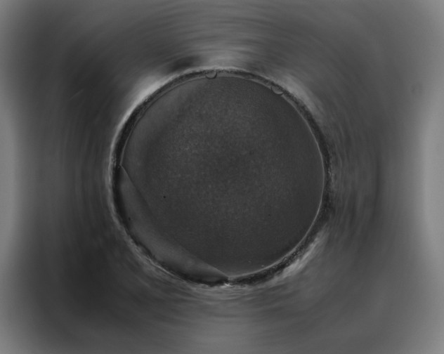 X0000088231077200705221820
