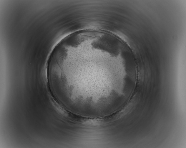 X0000088231078200705221820
