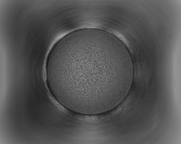X0000088231080200705221819