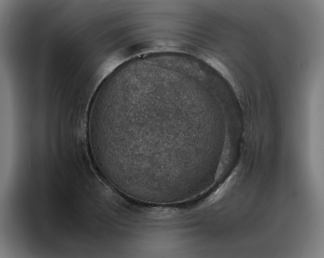 X0000088231081200705221819