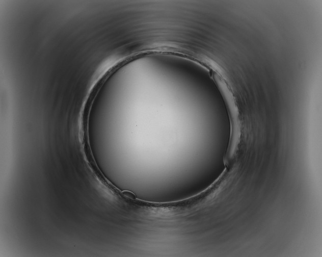 X0000088231082200705221819