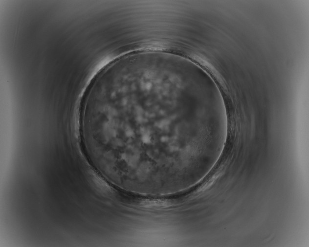 X0000088231083200705221819