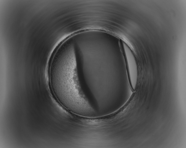 X0000088231084200705221819