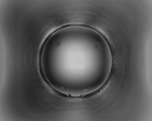 X0000088231085200705221819