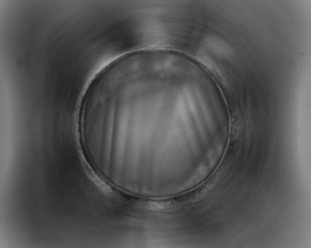 X0000088231086200705221819