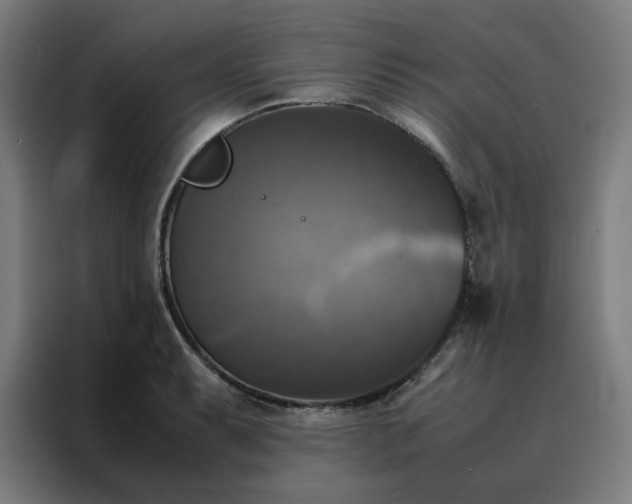 X0000088231087200705221819