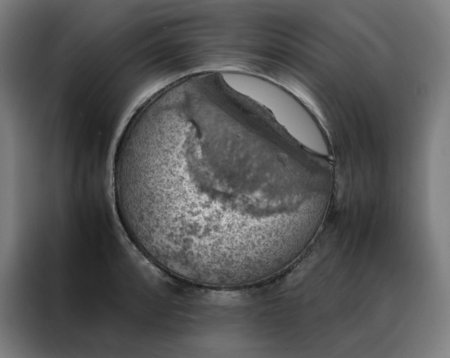 X0000088231088200705221819
