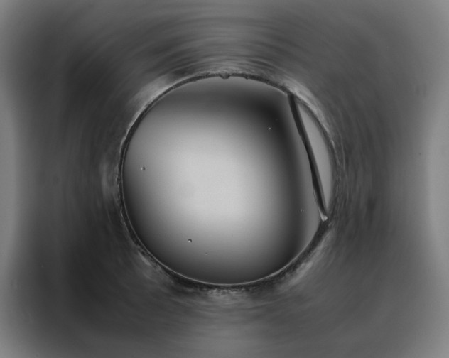 X0000088231089200705221819
