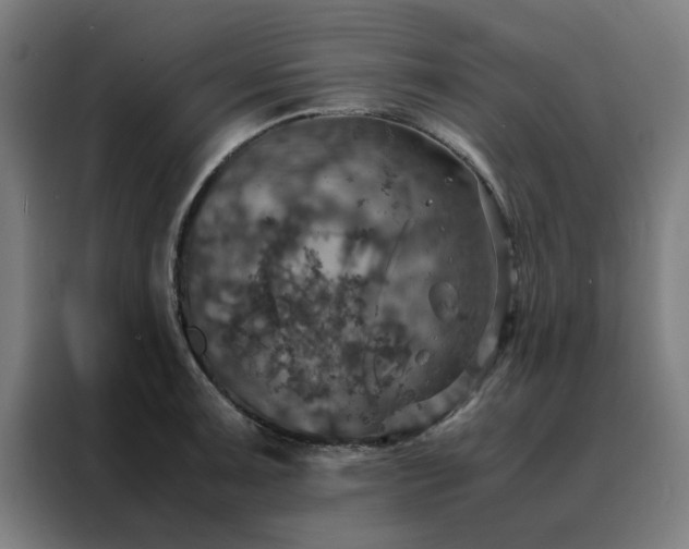 X0000088231091200705221819